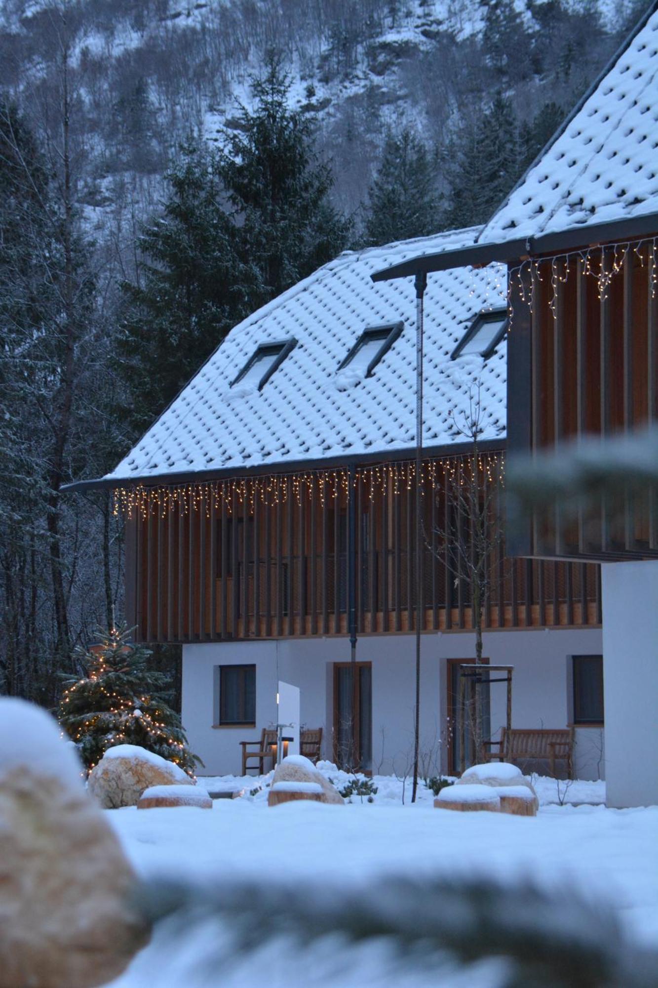 Residence Соча Екстер'єр фото